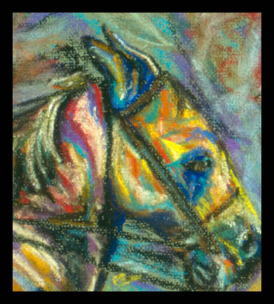 the event horse equine portrait by champlin